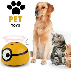 Pet Toy® Cachorro/Gato + Controle | Frete Grátis