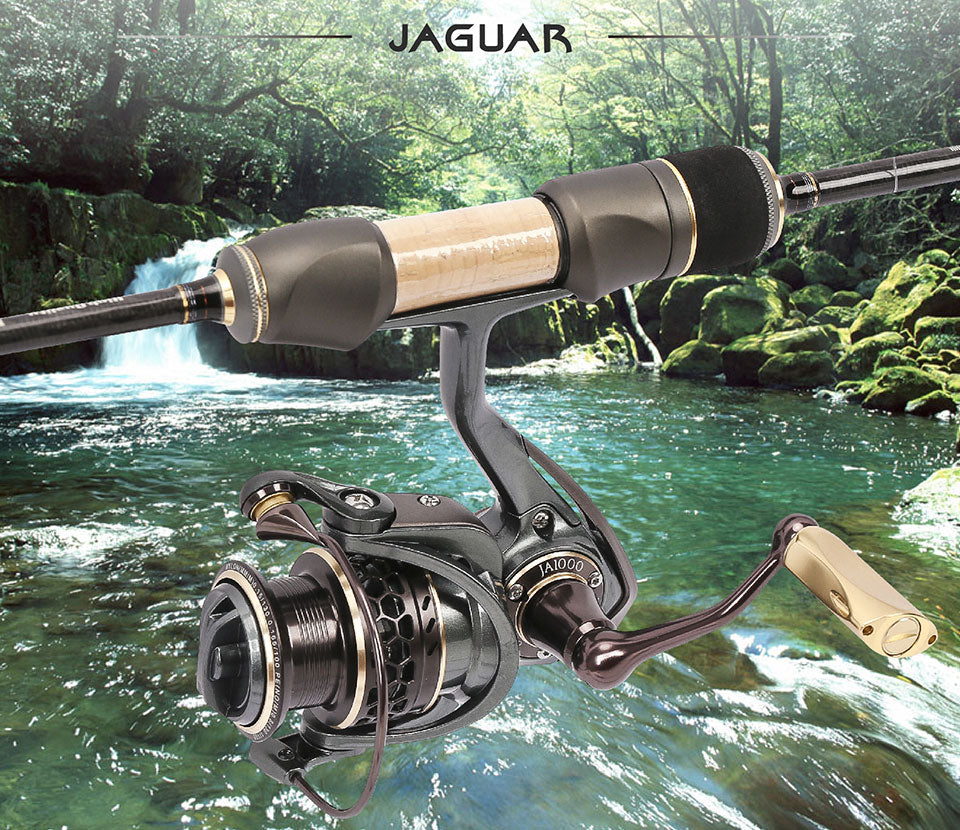 Carretel de pesca TSURINOYA Jaguar 1000-5000 9 + 1BB