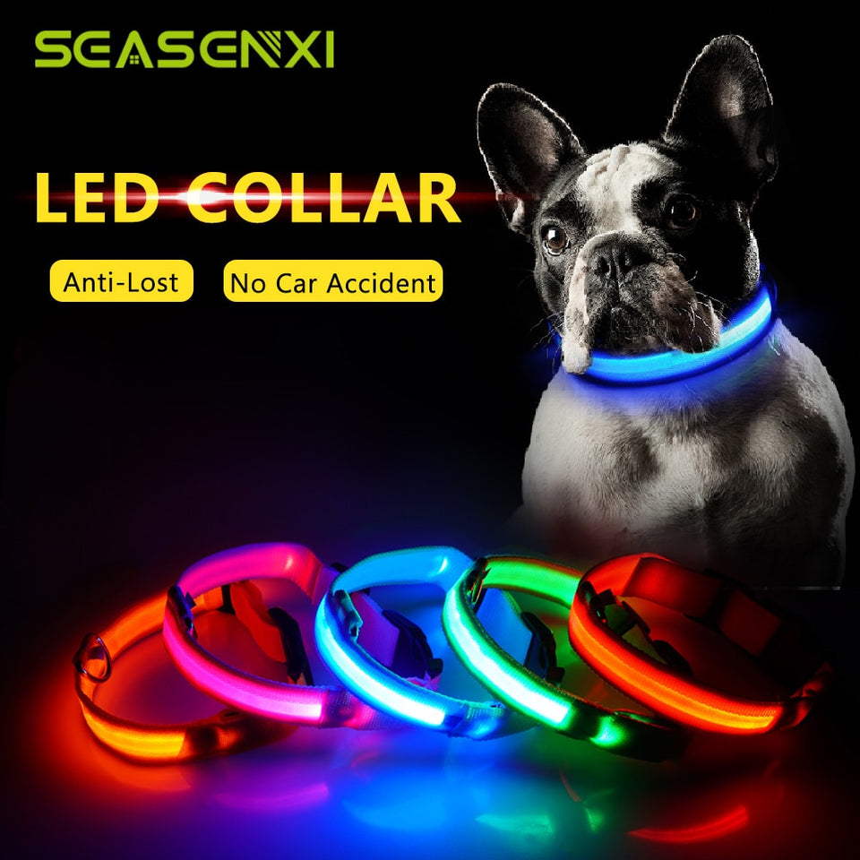 Coleira Brilhante LED para seu pet Anti-Lost Nylon