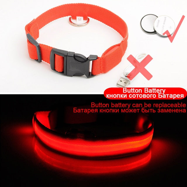 Coleira Brilhante LED para seu pet Anti-Lost Nylon