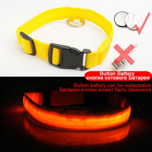 Coleira Brilhante LED para seu pet Anti-Lost Nylon